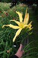 IMG_4348 (Large)